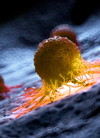 Dr. Rodrigo Carvalho