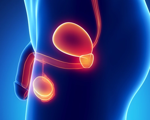 Dr. Rodrigo Carvalho